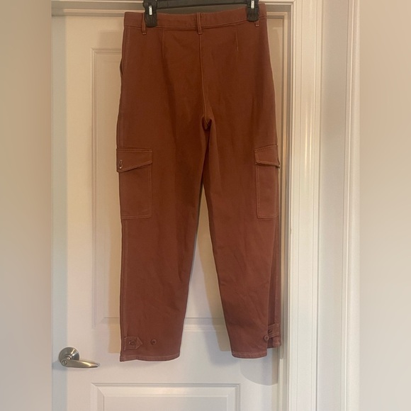 Aritzia Wilfred Free modern cargo pant  - Rust - Picture 7 of 7